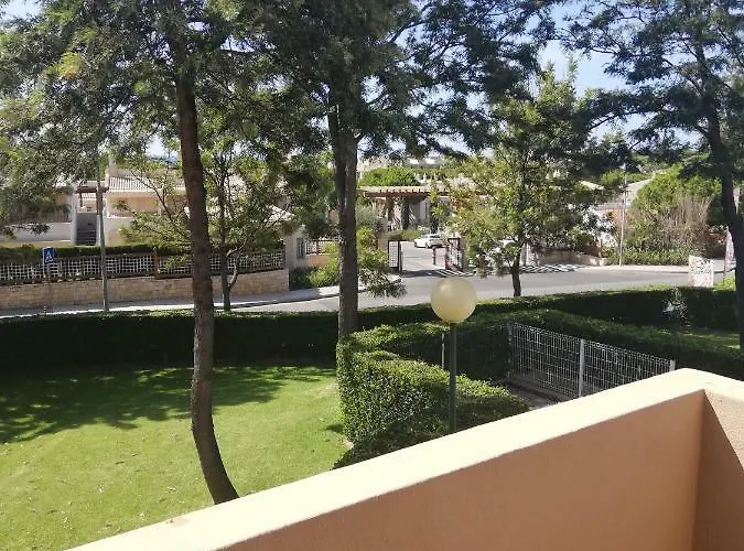 V2 X 알부페이라